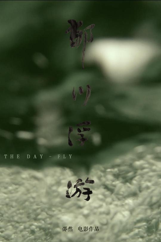 冰山首席漫画影视海报