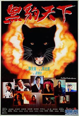 无限挑战最新一期影视海报