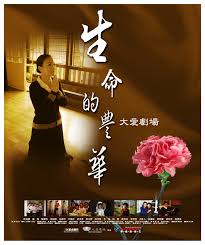 残棋破解大全图影视海报