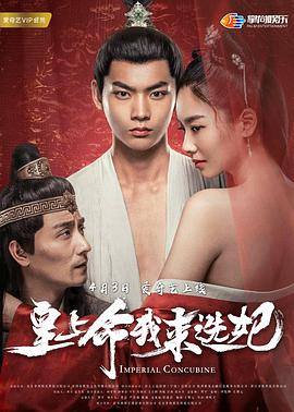 2017最新自拍国产影视海报