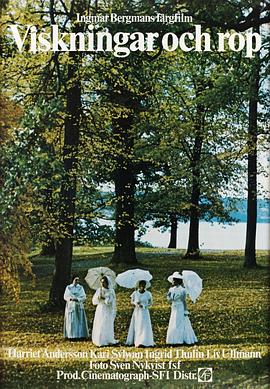 香草的天空影视海报