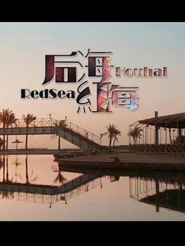 我玩48岁的单位大姐影视海报