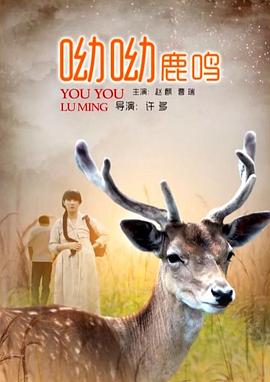 金志文纵横天下粤语版影视海报