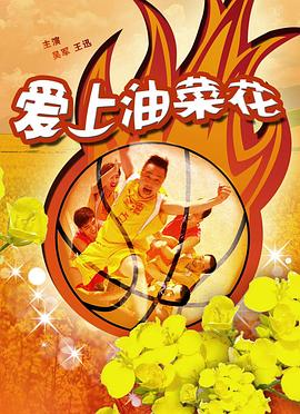 亚洲狼影视海报