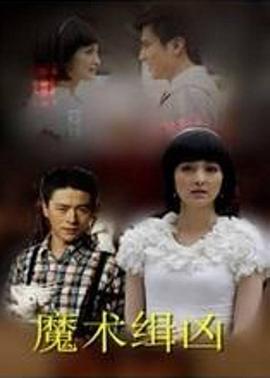 官场风流献身小说影视海报