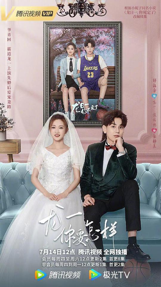 随梦小说网手机版影视海报