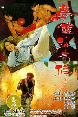 美人我最大影视海报