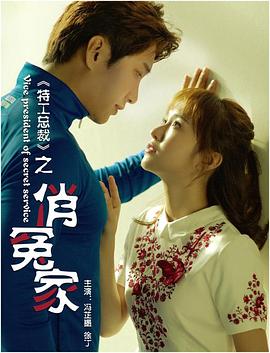 电影贼王1995在线观看影视海报