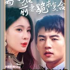 覆雨记影视海报