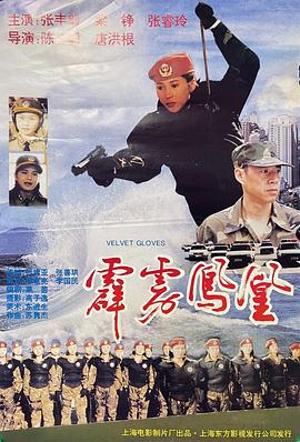 复仇女影视海报