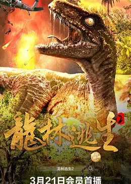 延禧宫略电视剧影视海报