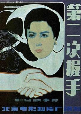 雪盲电影影视海报