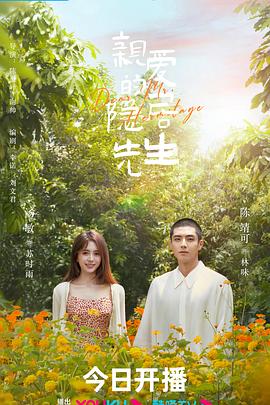 奇幻贵公子第二季影视海报