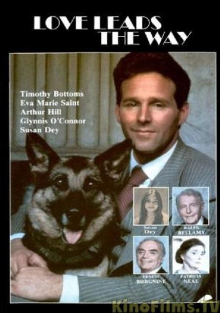 叫兽网影视海报