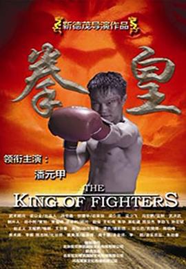 菊豆剧情影视海报