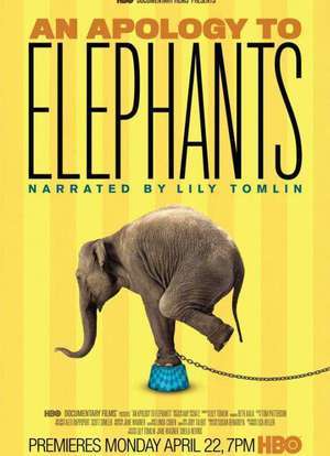 美艳儿全文阅读目录影视海报