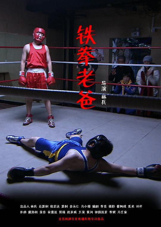 发现隐形的翅膀影视海报