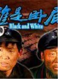 飞虎之潜行极战粤语在线观看影视海报