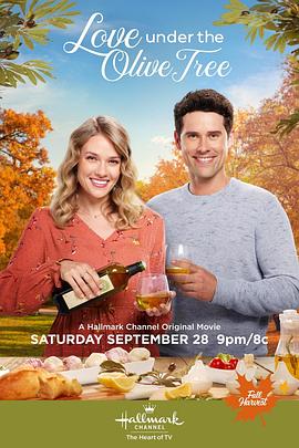 chinese帅哥gv影视海报