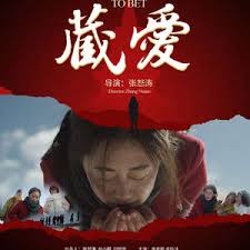 霍金的电影影视海报