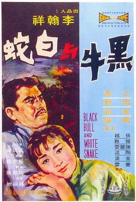 王者荣耀女英雄被x漫画影视海报