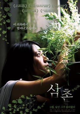 李三枪电视剧全集免费影视海报