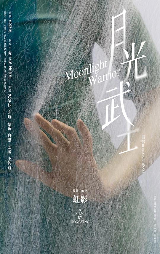 桃花绽放电视剧影视海报