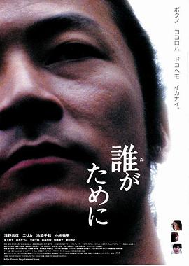 蔷薇航班全文免费影视海报