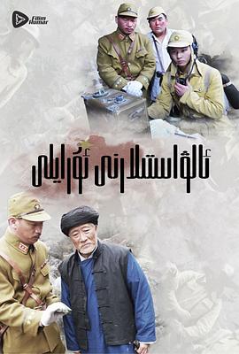 初婚电视剧全集播放影视海报