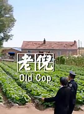 月之暗面影视海报