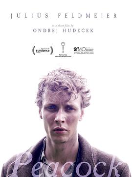 回档一生影视海报