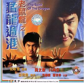 dvd8090cnm完整版影视海报