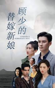 金屋藏娇直播间影视海报