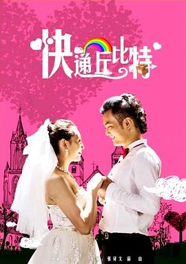 拆局专家国语版影视海报