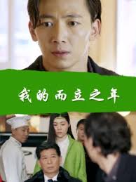 鹿镇岁月刘洁全本影视海报