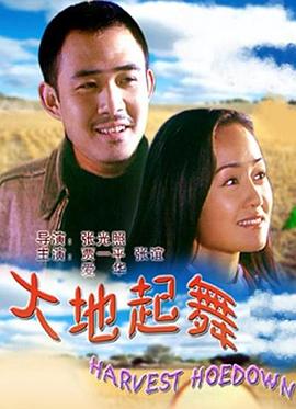 旋风管家百度云影视海报