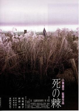 np肿胀挺进木马哭叫影视海报