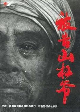 爱爱小说飞机上影视海报