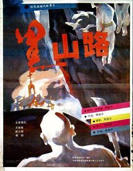 紫轩小说手打吧女检察影视海报