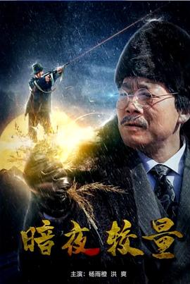 龙珠第四部影视海报