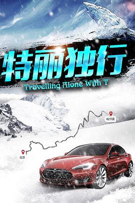 缉私群英影视海报