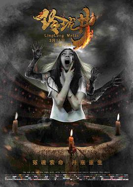 征服四部曲阿德菁玉影视海报