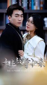 922tv 网址二影视海报