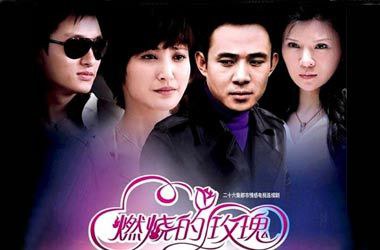 不肯去观音李纯影视海报