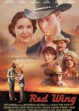 除夕夜作文500字影视海报