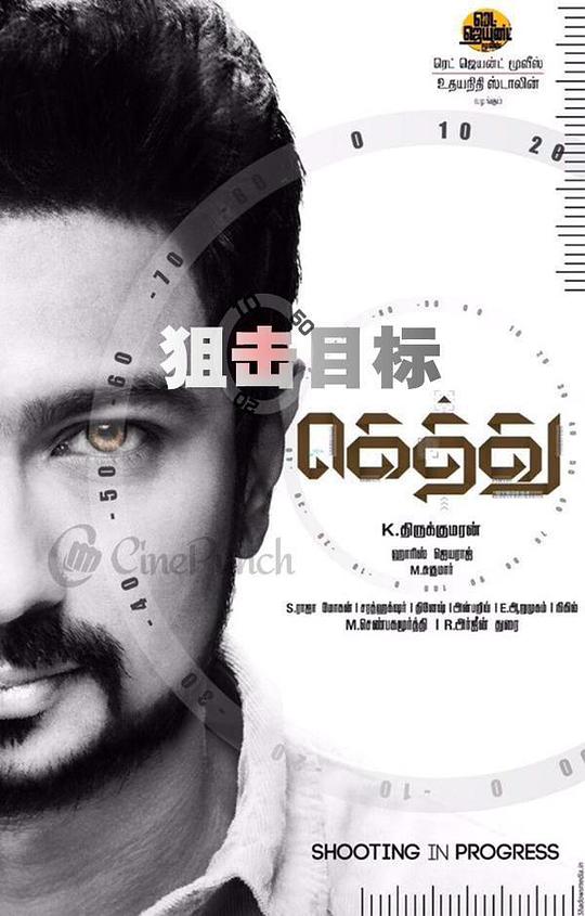 纽约纽约 电影影视海报