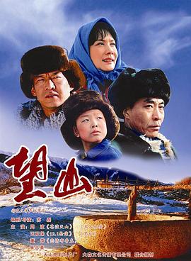 伪装者 迅雷下载影视海报