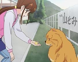 豪斯医生第一季在线看影视海报