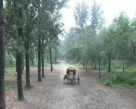 火龙女未删节版影视海报