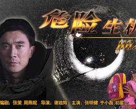 金装四大才子在线观看影视海报